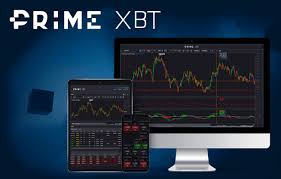 Unlocking the Potential of Trading A Deep Dive into the PrimeXBT App